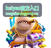 kaiyun官方入口功能解析