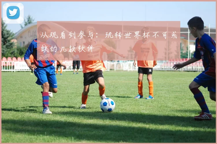 从观看到参与：玩转世界杯不可或缺的几款软件