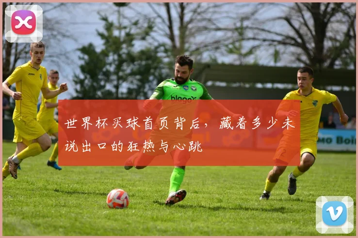 世界杯买球首页背后,藏着多少未说出口的狂热与心跳